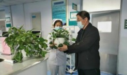 衡水医院爆料事件最新,真相揭开，医疗乱象引发社会关注