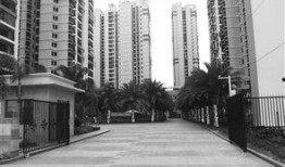 永秀花园爆料最新消息,揭秘神秘事件背后的真相