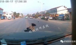 禹城吃瓜最新事件爆料视频,揭秘最新爆料视频背后的惊人真相