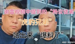 小号最新爆料杨议视频,小号爆料背后的故事