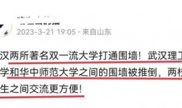 华中大学最新爆料信息,揭秘科研突破背后的故事