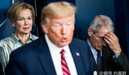 福奇最新爆料特朗普,疫情真相与白宫决策幕后！”