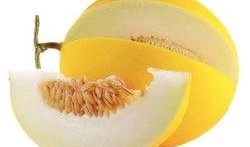 甜瓜概念爆料网站大全最新,概念爆料网站大全独家解读