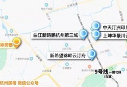 杭州最新爆料,揭秘城市新动态与热点事件