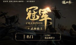 逆水寒最新爆料s2,江湖风云再起，神秘势力暗中布局