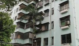 石家庄花园爆料案件最新,揭秘背后惊人真相