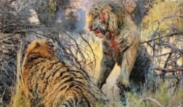 王庄爆料二虎视频大全最新,二虎视频大全精彩瞬间大盘点