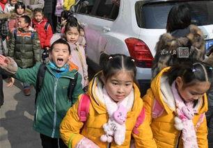 武汉最新爆料小学生,揭秘校园生活点滴”