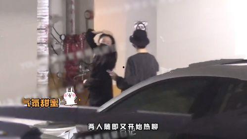 最新歌手恋情爆料视频,甜蜜瞬间引网友热议